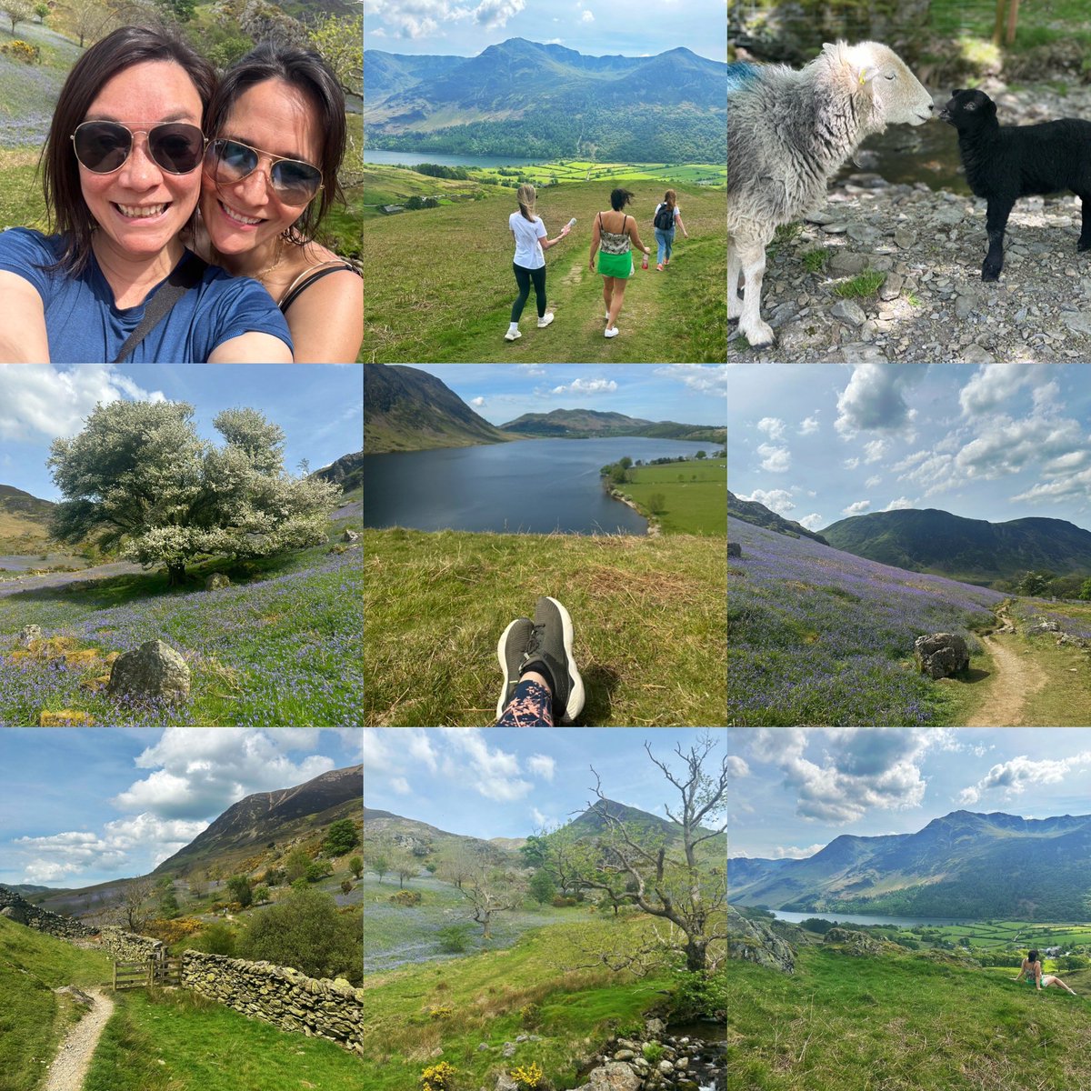 Beautiful weekend in the #LakeDistrict with the girls! 🐑🌿🪻☀️ #everyweekendlikeaholiday 🥰