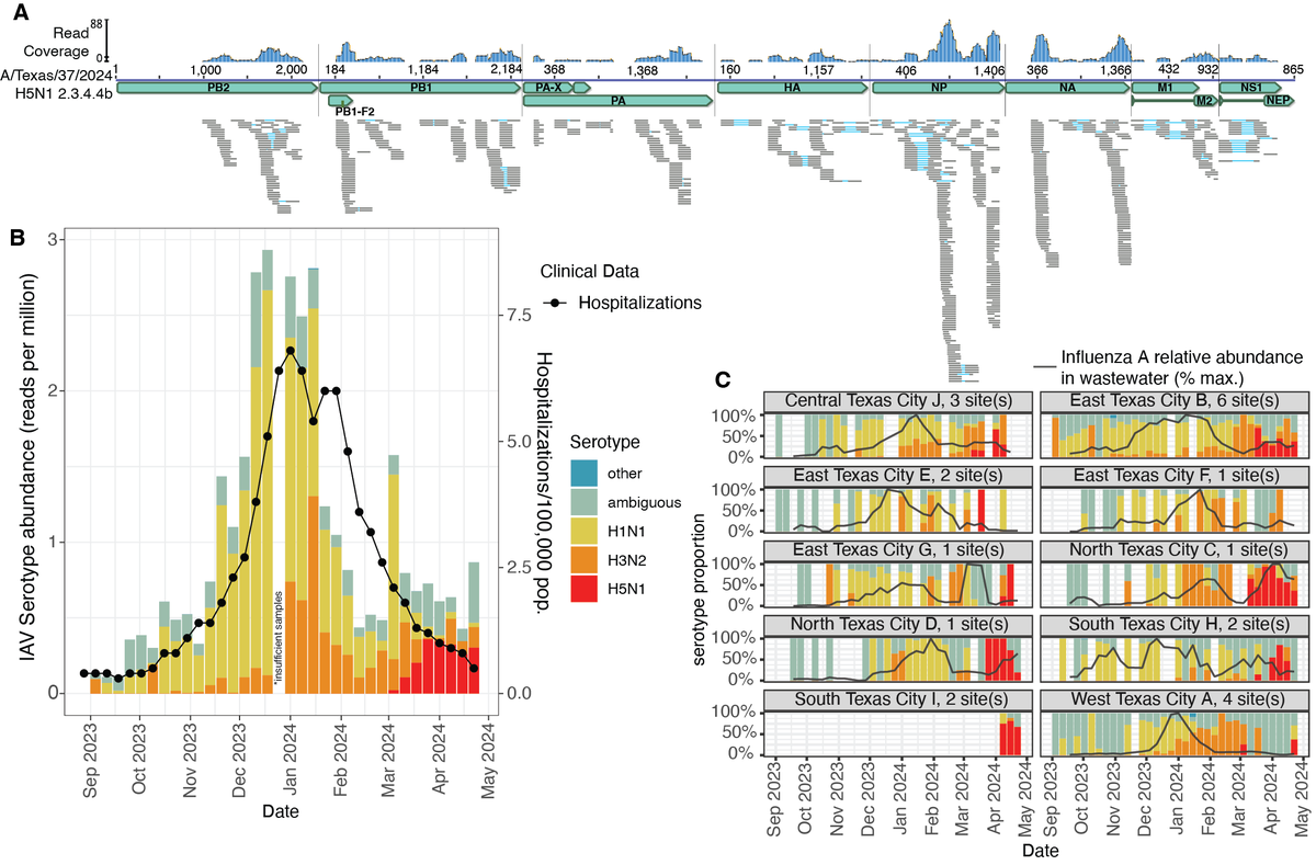 The H5N1 wastewater samples from nine cities do not have known human adapted mutations in  PB2 (E627K but missing M631L and E362G). They carry E627, L632, and G362. So is it coming from raw miking  going down the drain? Still a mystery. 
medrxiv.org/content/10.110…