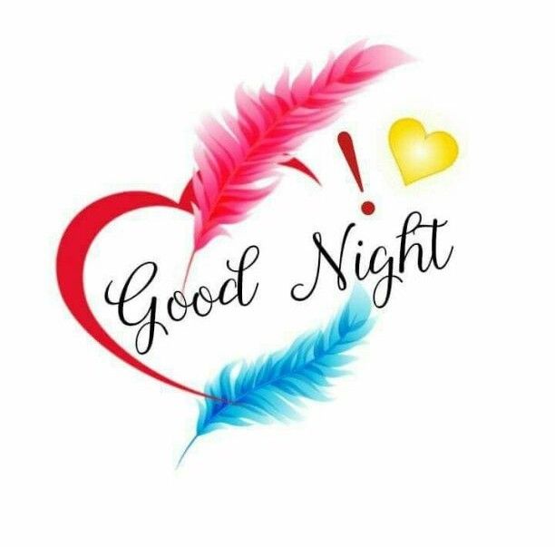 Goodnight! Remember, life's short, so have a friendly fight with your loved ones – it's a sure way to leave a memorable mark!🤣😂🤣😂🙈🥀❤️❤️🌹🥀💤💤💤💤💤💤💤💤💤
#goodnight 
#GoodNightTwitterWorld 
#GoodNightX