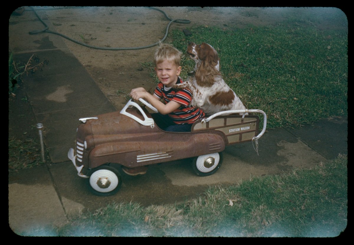 Gambled on another mystery batch of film slides.