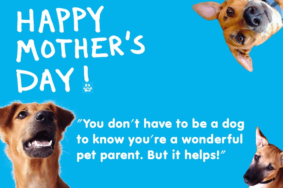 🐾👶 Calling all Supermoms! 🦸‍♀️ Can we just take a moment to appreciate the chaos of raising both two-legged AND four-legged kiddos? 🤪 

Let's raise a (virtual) toast to all the multitasking masters out there. Happy Mother's Day!

#MomLife #ChaosCoordinator