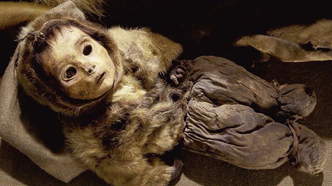 グリーンランドのキラキツォクの洞窟で発見された、500年前のイヌイットの小さな子供のミイラ。これは世界で最も保存状態の良いミイラの例の1つです😱🤔