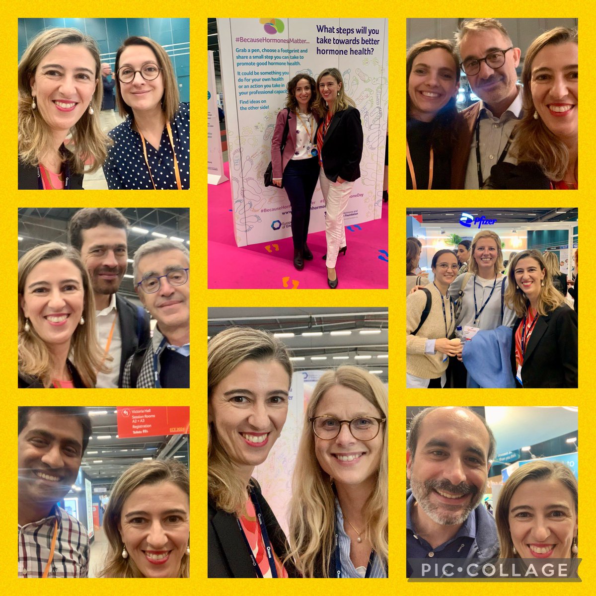Nice to catch up with so many old and new friends on Day 2 at @ESEndocrinology #ECE2024 !! #BecauseHormonesMatter