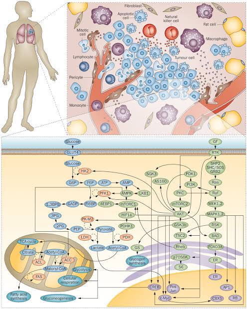 Cancer biology and systems biology are interconnected fields that aim to understand complex biological systems, including cancer. Integration of multiple omics data provides the information about genomic and epigenetic aberrations in cancer cells that can be targeted in cancer.