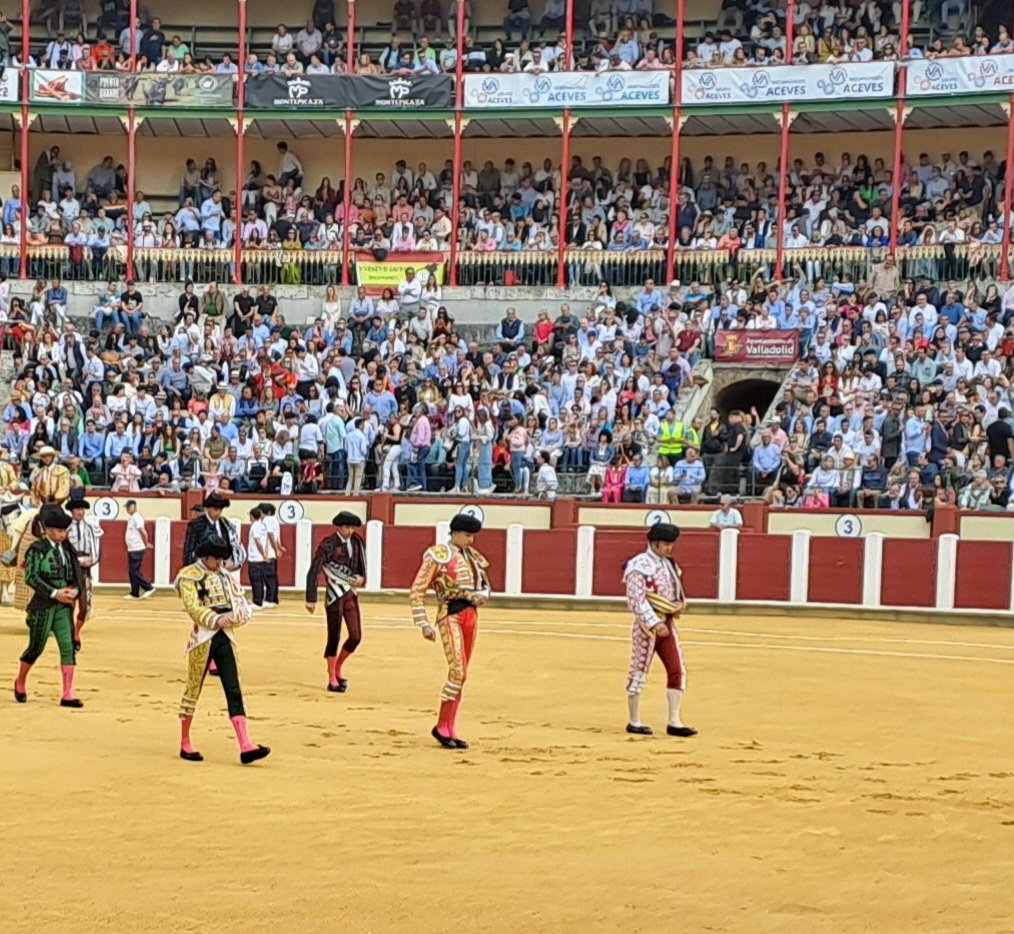 Pucela. Morante, De Justo y Roca Rey. Servidor y cuatro gatos. O cinco.