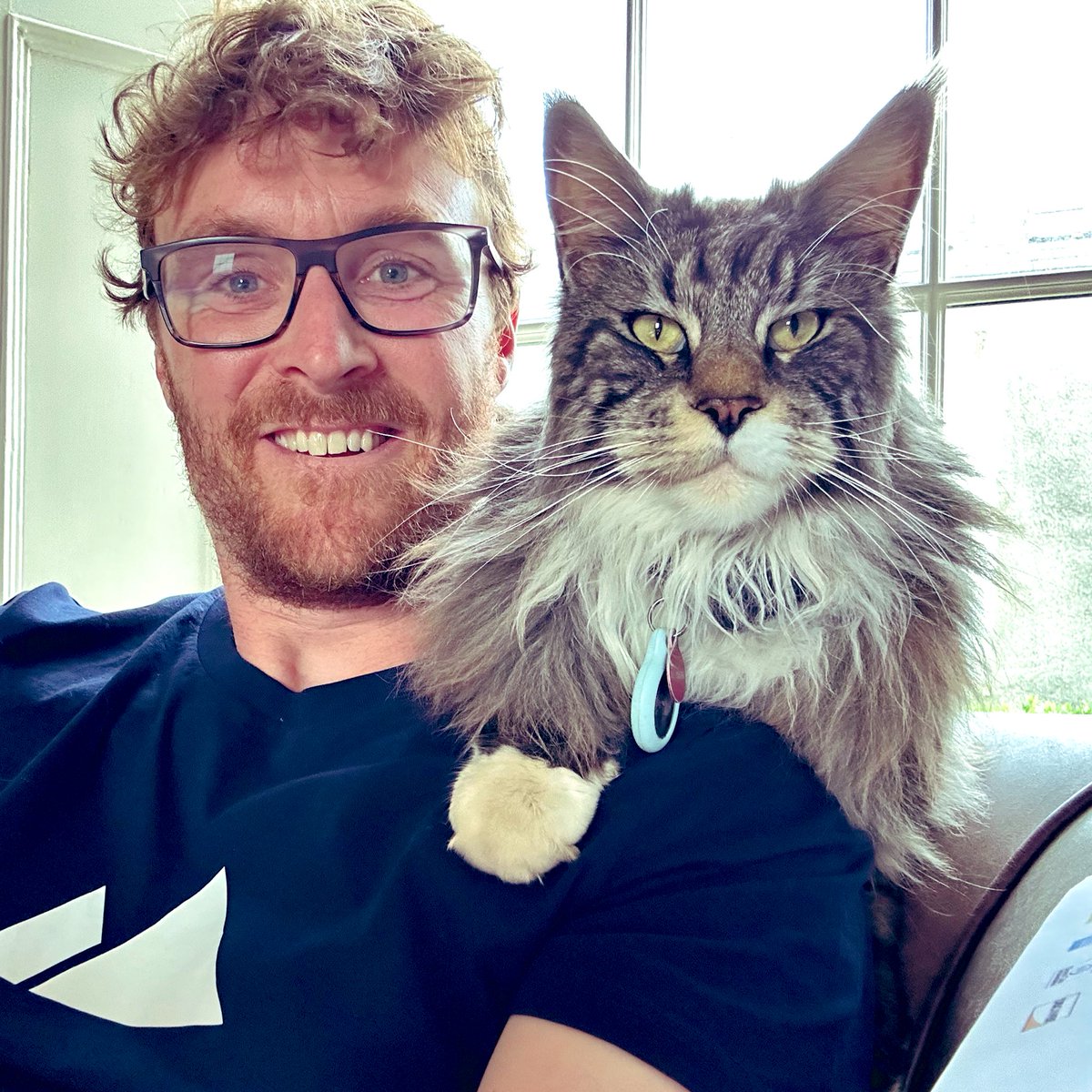 Charlie loves a cuddle. A gentle giant of a Maine Coon cat. 🐈‍⬛