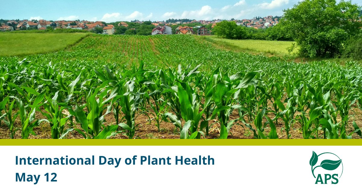 Join us in celebrating #PlantHealthDay 2024! This year, @FAO and @ippcnews are focusing on the crucial link between plant health, safe trade, and digital technology. Learn more about this international event and join the celebration: fao.org/plant-health-d…