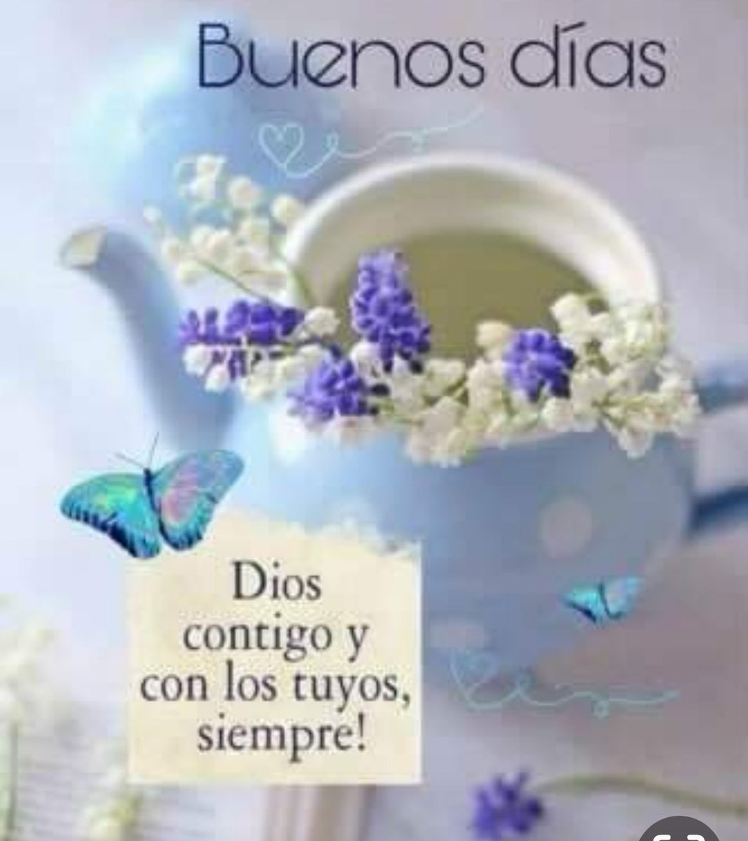 ¡Buen día mis amores! 🙏🌹