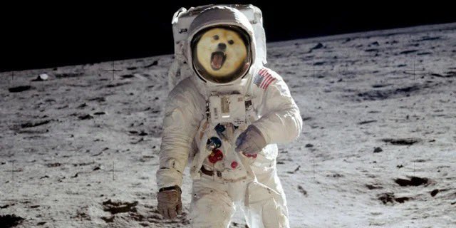 One small step for omnom, one giant leap for omnom kind. $omnom