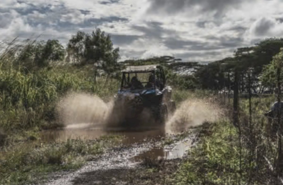 uthorcdswanson's tweet image. #SundayFunday for me is off-roading #Kauai in the #rain.  Muddy as heck but still #beautiful.