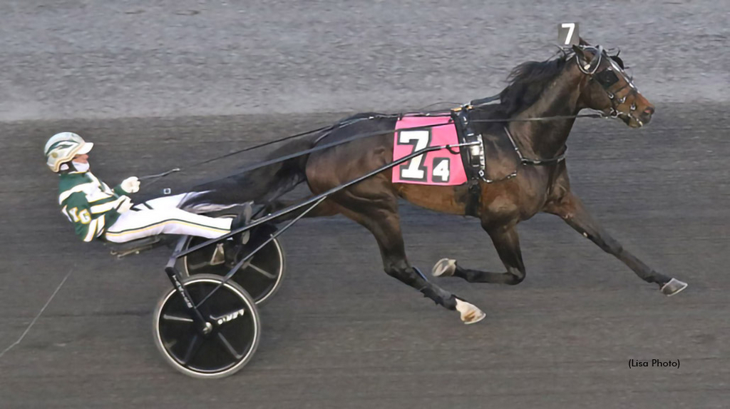 2023 Dan Patch Award winner Karl took his first step toward a #Hambo24 appearance with an easy win in his first start of 2024 on Saturday, May 11 at @TheMeadowlands → tinyurl.com/27ukg6re #harnessracing