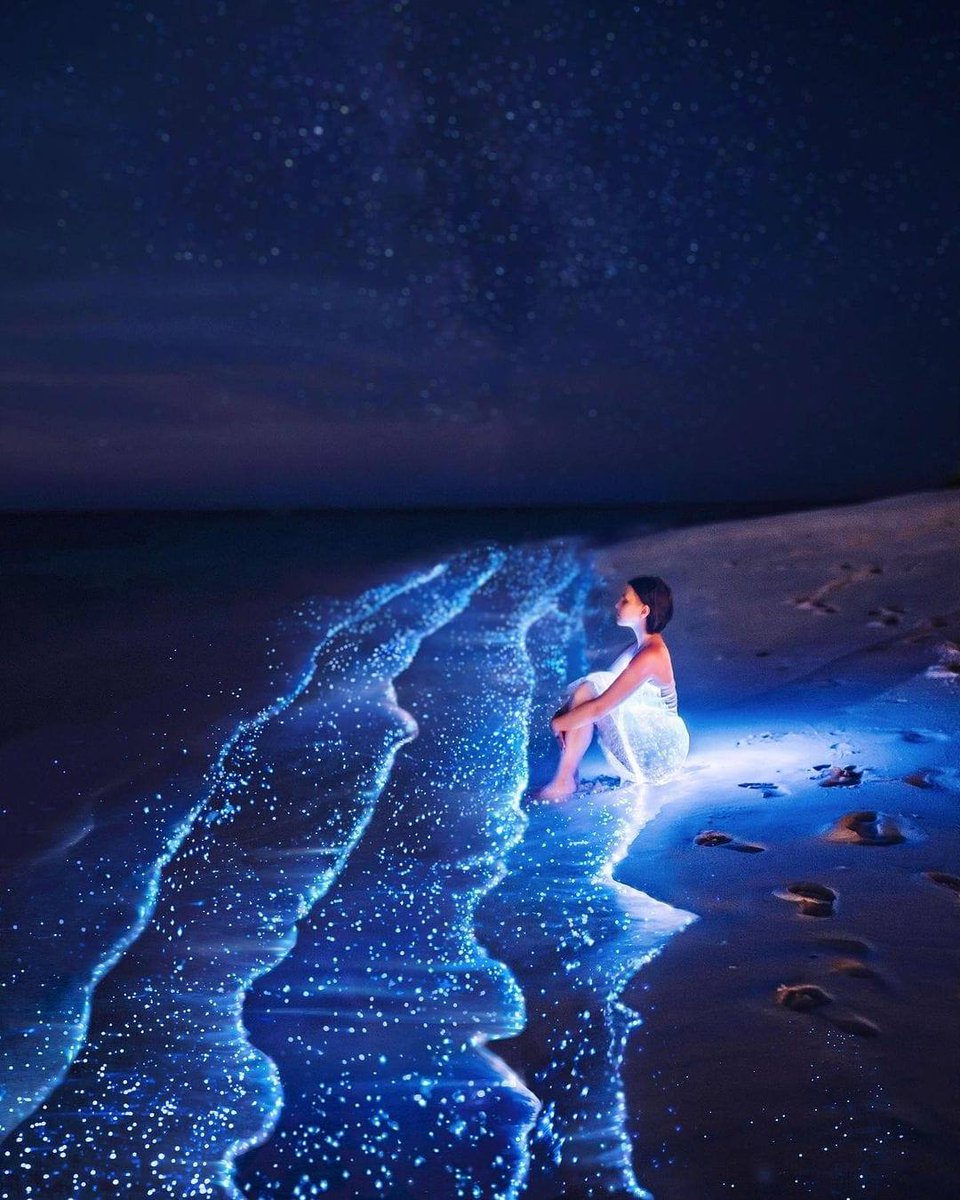 Here are most beautiful Bioluminescent beaches from around the world - a thread 🧵👇 1. Vaadhoo, Maldives🇲🇻