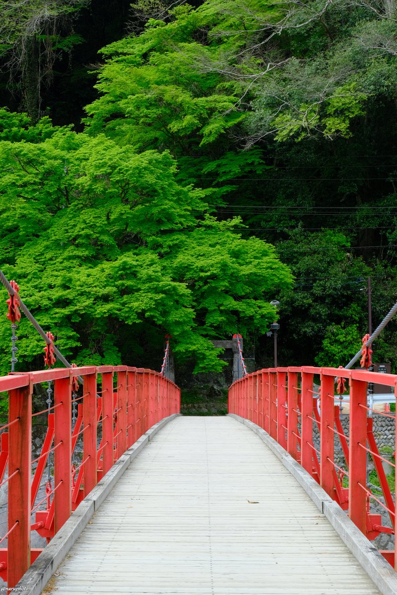 naruphoto's tweet photo. 香嵐渓

2024.04.20 愛知県 豊田市 香嵐渓
📷  Fujifilm X-S10
lens  ①～③TAMRON 17-70mm F/2.8 Di III-A VC RXD
　　 ④XC50-230mm F4.5-6.7 OIS II
Film Simulation Velvia https://t.co/4wg6IOf96T