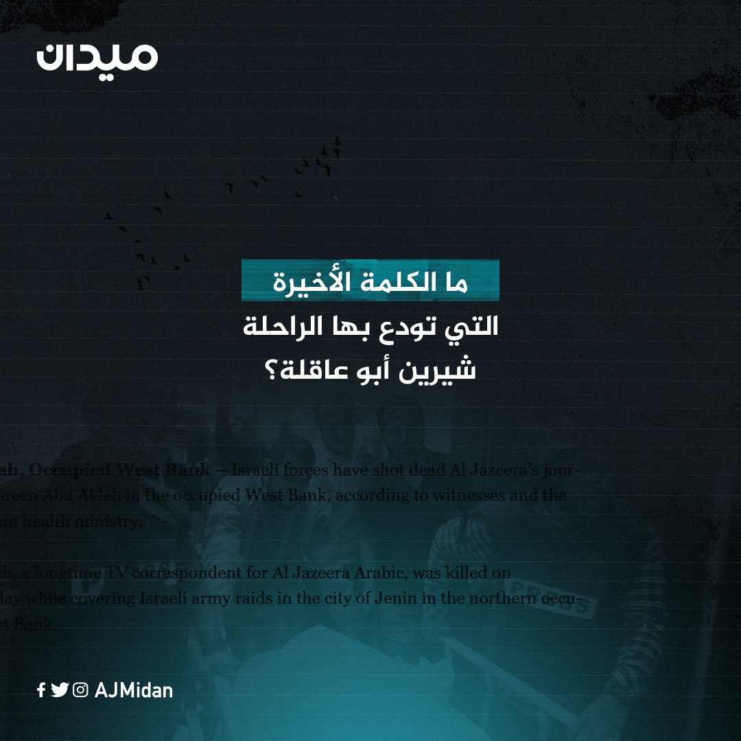 ميدان | Midan tweet media