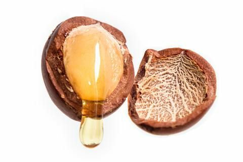 Discover the secret to your skin's beauty with natural Argan oil! Natural solutions for skincare problems, just try and enjoy pure, radiant skin. #ArganOil #SkinCare #Arganiaday #moisturizer #Faceoil #Organicoil #Argan #moroccanoil #FreeShipping #etsy