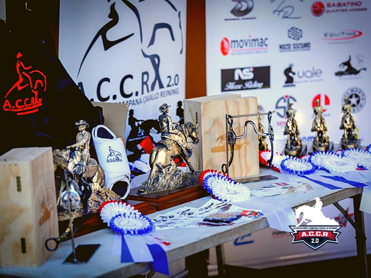 Online i #risultati della #domenica relativi all'evento #SecondoShow #ACCR-#IRHA-#FISE-#NRHA 2024.

Verifica i risultati di tappa!
👇👇👇
campaniareining.it/campionato-reg…

#Reining #CampaniaReining #AccrReining