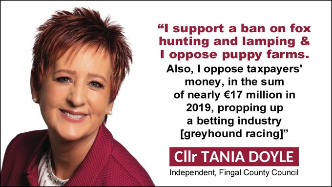 “I support a ban on fox hunting and lamping and I oppose puppy farms. Also, I oppose taxpayers' money propping up a betting industry [greyhound racing]” - #LE24 candidate Cllr Tania Doyle (Ind, #Fingal #Ongar) 👍👍 banbloodsports.wordpress.com/2020/01/11/fin… #LE2024 Support compassionate candidates