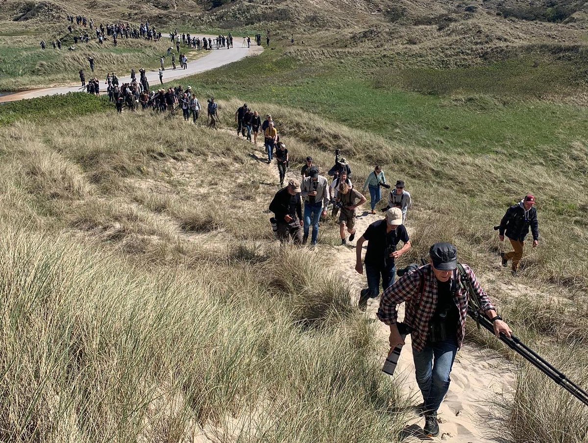 Fuglefestival 2024! 🎊
The Bird Festival 2024 in Skagen just ended and we look back on some amazing days! 
Thanks to everyone for the nice lectures, conversations and birds - thanks vor visiting!! 🤗🦅
