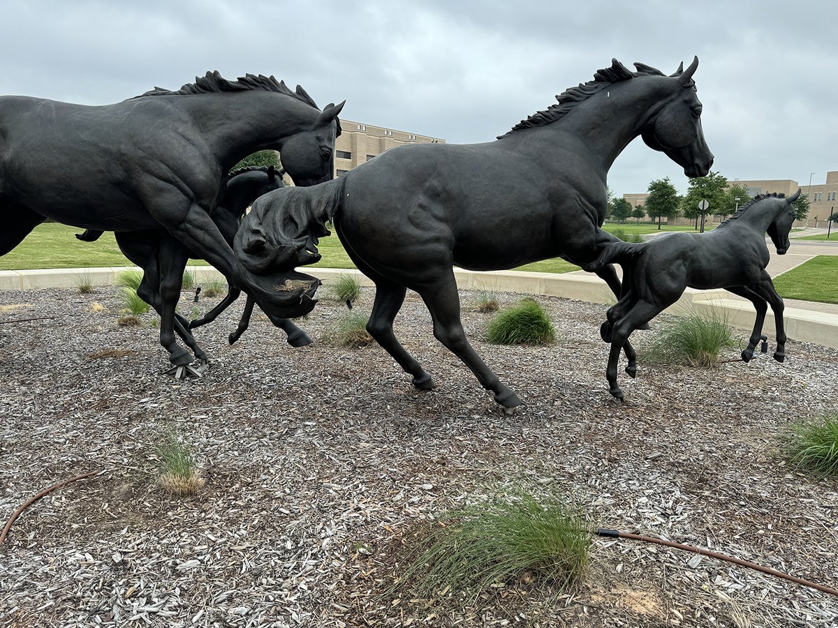 This mother dove decided to make her nest on our horse statue in front of the VENI building this spring. She and her babies have since moved out, but we wanted to highlight this mom's creativity on Mother's Day! #TAMUVetMed #MothersDay