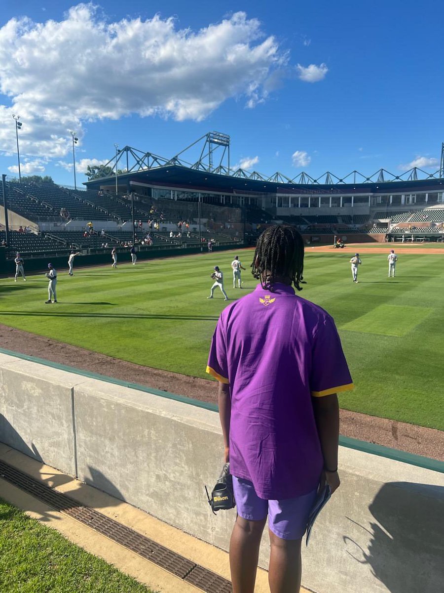 ALCollection's tweet image. #ALCollectionLSU @LSUbaseball #TheLogo anthonylawrencecollection.com