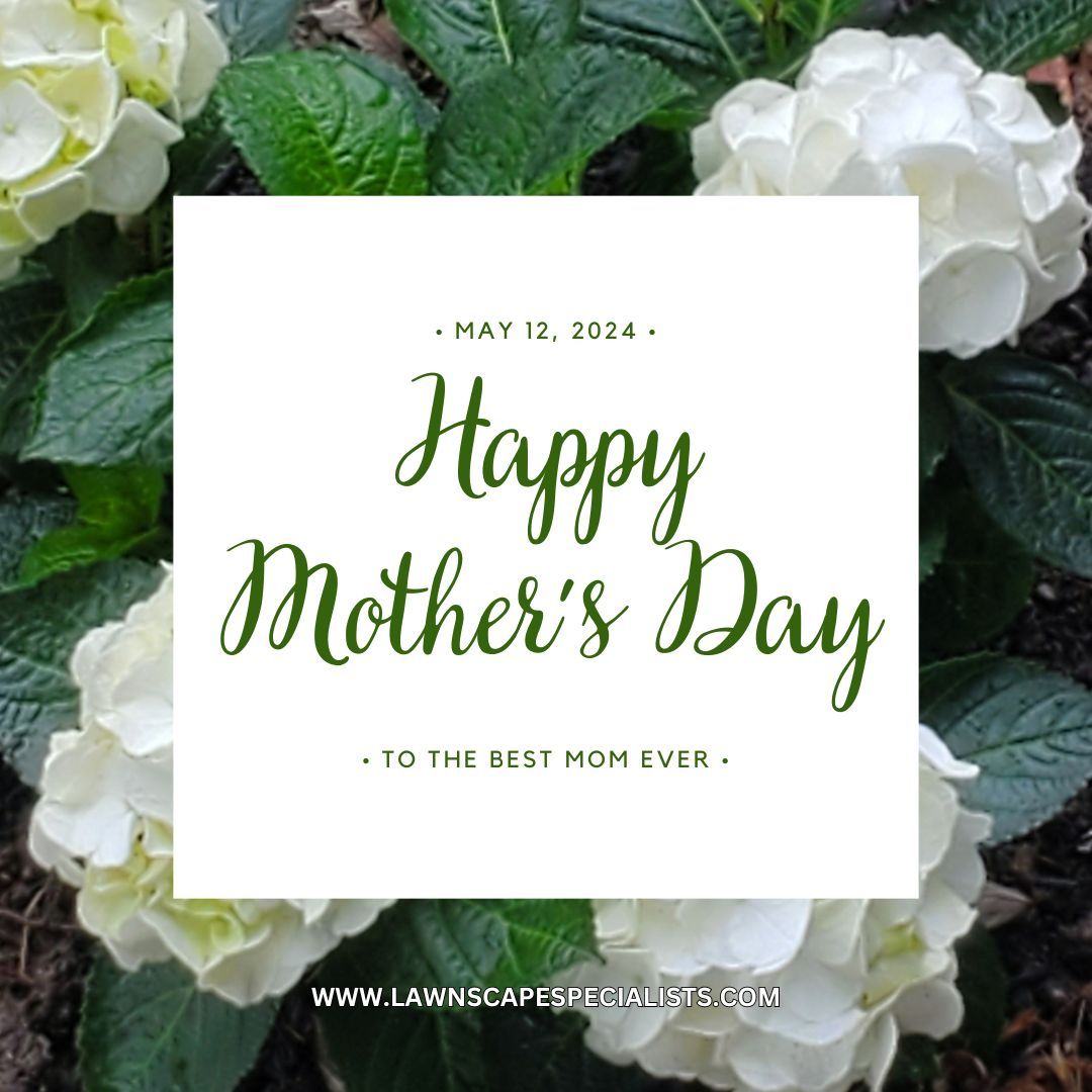 🤍Wishing all moms a day of love, joy, and relaxation. Thank you for everything you do and enjoy your special day!🤍 #happymothersday #customerlove #gratefulforyou #kchomes  #outdoorspaces #greenlawn #overlandparkks #parkvillemo #lawnscapespecialists