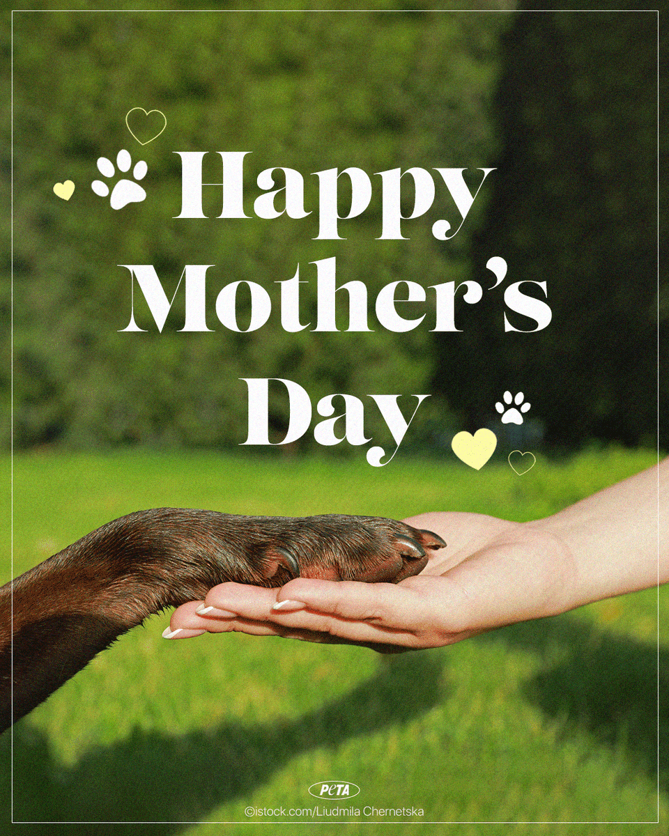 Tag your favorite adopted dog moms 💛🐾💐 #MothersDay