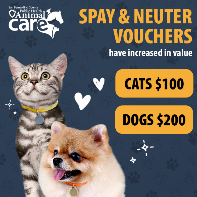 Residents in San Bernardino County’s unincorporated areas and the city of Big Bear Lake can now receive additional financial support for spay and neuter services through the Pet Over Population Coalition (POPCO): bit.ly/3UIlsMB

#spayandneuter #petadoption