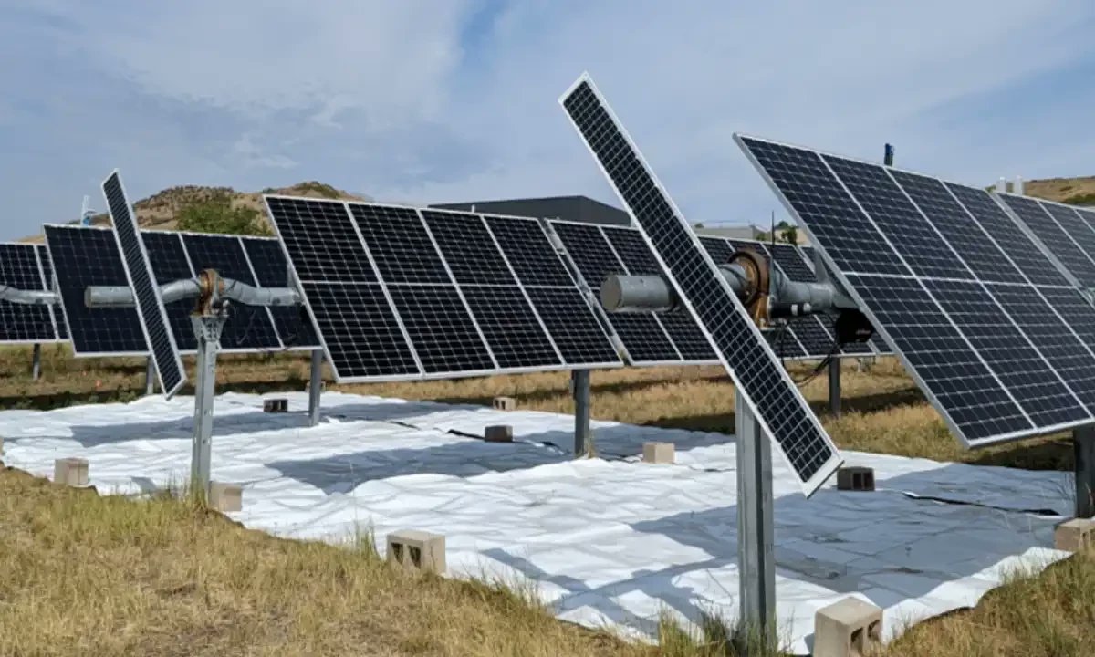 سولر پینل کی کارکردگی کو بڑھانے کے لیے ایک سادہ لیکن مؤثر طریقہ دریافت کرلیا ہے محققین نے دریافت کیا کہ شمسی پینلز کے نیچے عکاس سطح رکھنے سے توانائی کی پیداوار میں اضافے اور زیادہ روشنی جذب کرنے میں مدد مل سکتی ہے محققین نے پینلز کے نیچے ”مصنوعی گراؤنڈ ریفلیکٹرز“ یا 1/2
