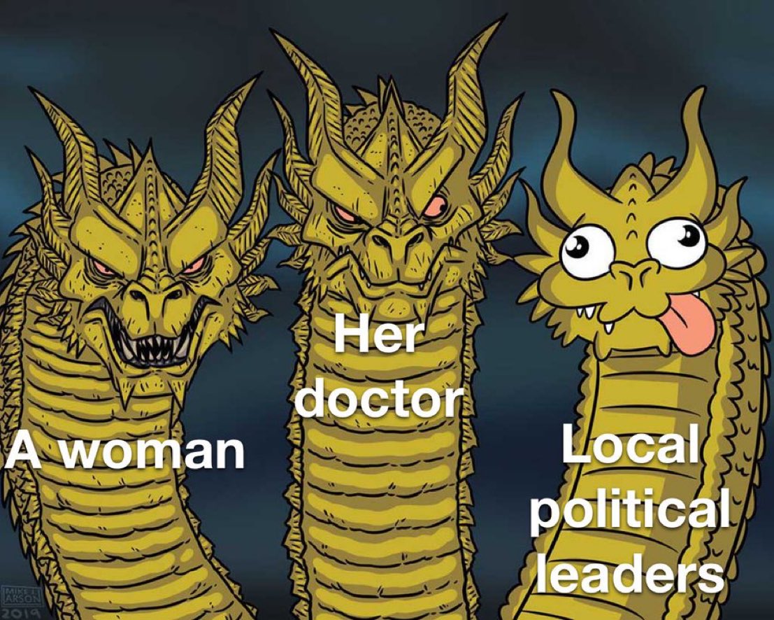 OrganizerMemes's tweet image. This meme literally changed my life lol