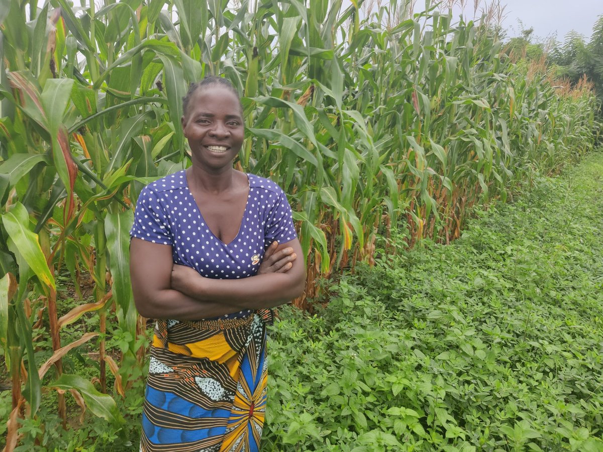 🌱🌍 On #PlantHealthDay, celebrate Grace Malaicha’s transformative journey with Conservation Agriculture in Malawi! Since 2005, her CA techniques have enhanced crop yields and climate resilience, inspiring regional farmers. #FoodSecurity 👉 bit.ly/3QFuGqB