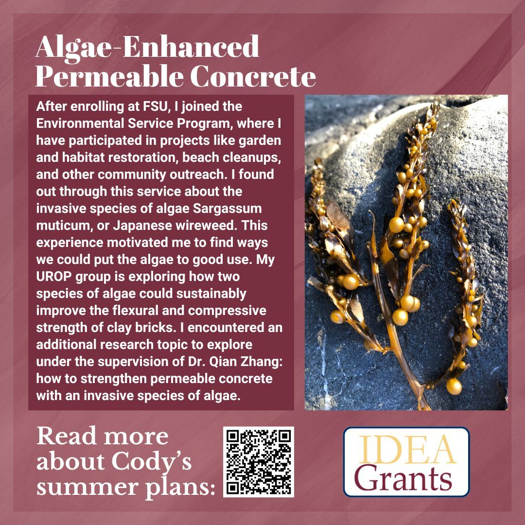 FSU_CRE's tweet image. We are highlighting UROP student and IDEA Grant Recipient, Cody O&apos;Brien! Under the supervision of Dr. Qian Zhang, Cody hopes to investigate how to strengthen permeable concrete with an invasive species of algae. Read more here: buff.ly/4bnXUTj 

#IDEAGrant