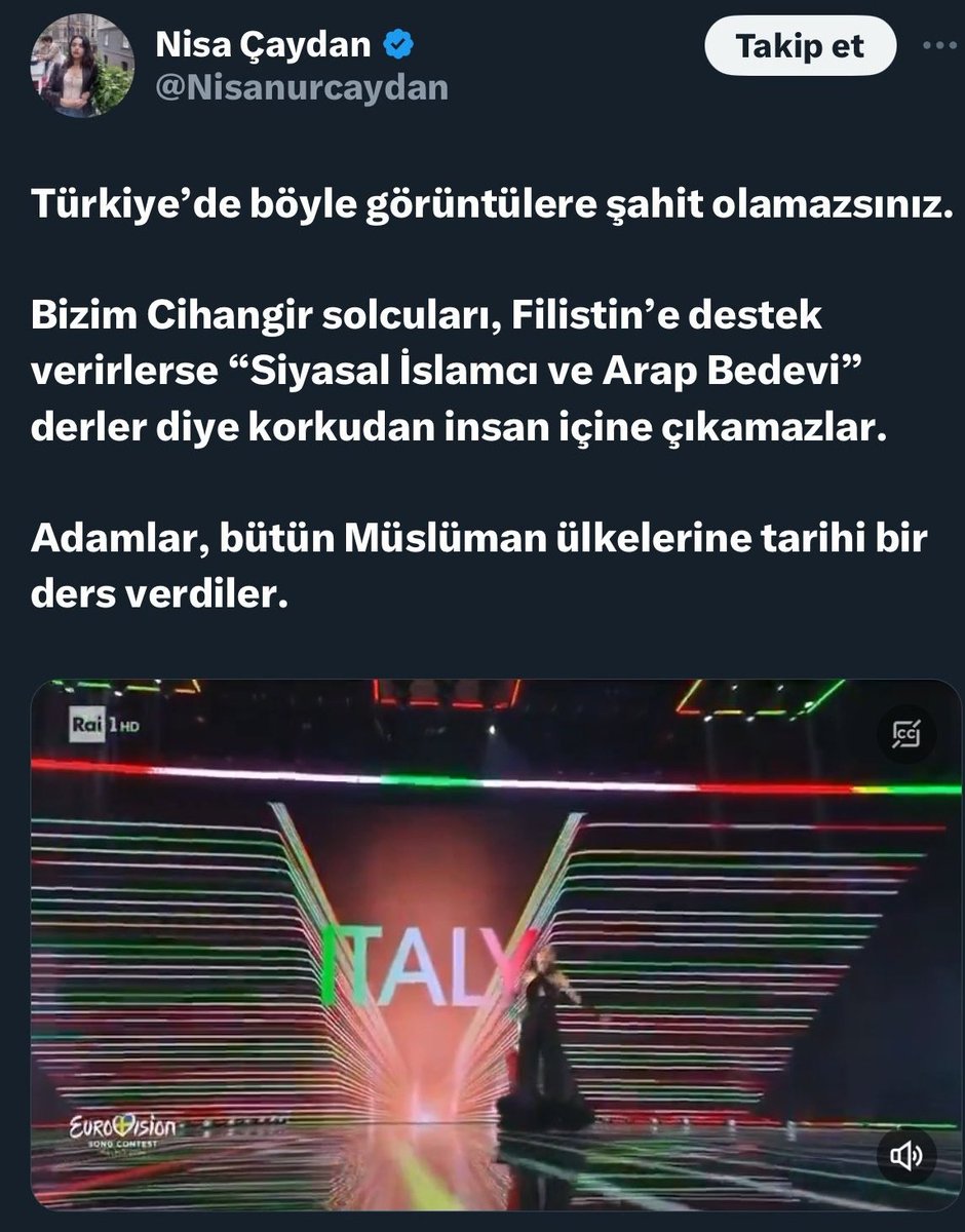 Coğrafya ve harita bilgisi olmayıp sadece okuma yazma bilen bir maymun bile arkadaki 'ITALY' yazısından dolayı bir bağlam kurup onun Filistin bayrağı olmadığını anlardı.