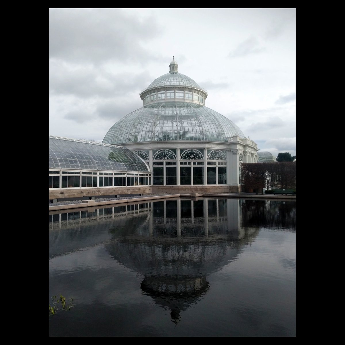 #greenhouse #dome #reflection #pool #newyorkbotanicalgarden #bronx #sky #clouds #botanicalgarden #newyorkcity #newyork #botanicalgarden #botanical #garden #thebronx