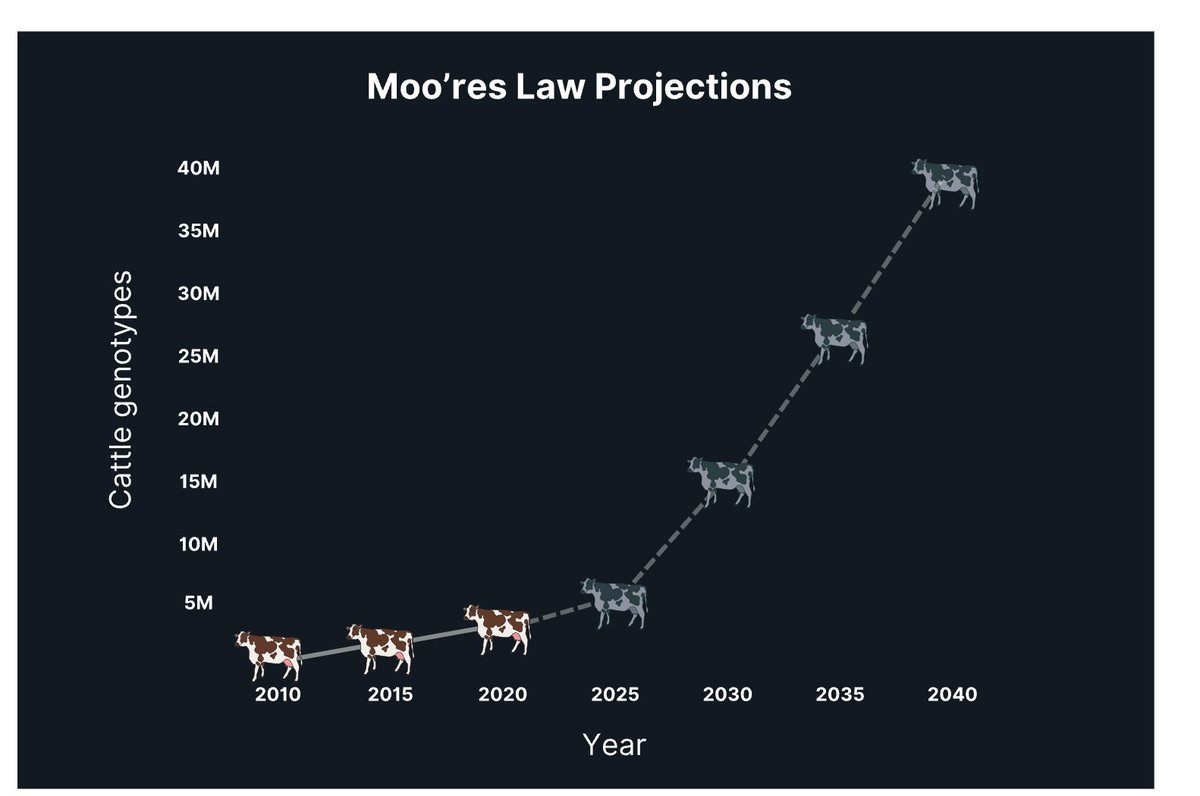 'MOOre's Law' is the prediction that the number of cattle being DNA tested will increase. -cheap genome scanning for 10s of dollars. -with enough samples, allow trait prediction from all genetic variation.