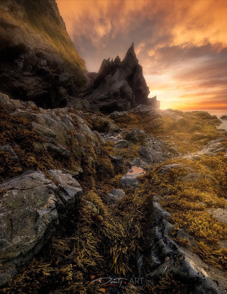 Evening... ✨️🤎 ©️ Daniel Tremblay Parc National Du Bic - Canada