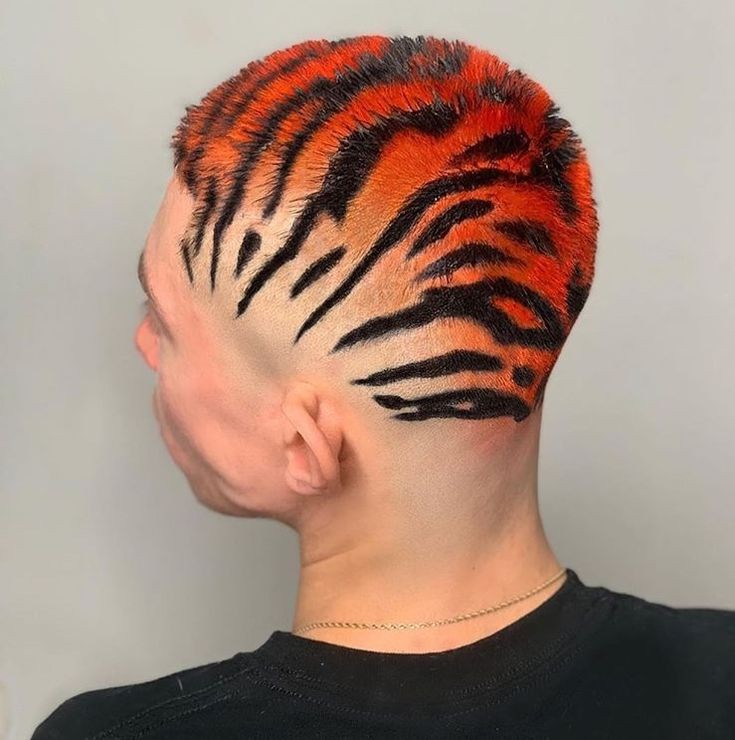 hoshi in the military: can i get this? 🐅
military barber: GET OUT