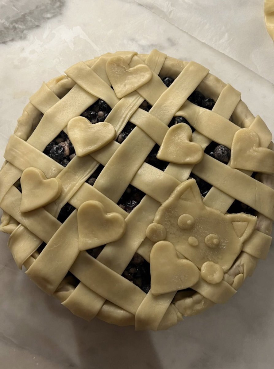 fazendo torta de blueberry pro aniversário do kendall roy