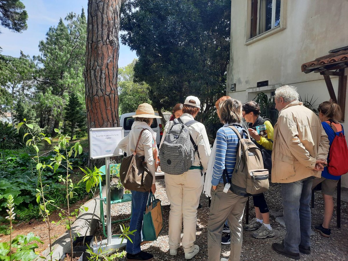 De nombreux visiteurs aujourd'hui au jardin Thuret @INRAE_France à l'occasion des Floralies d'@antibes_jlp jardin-thuret.hub.inrae.fr/actualites/flo…