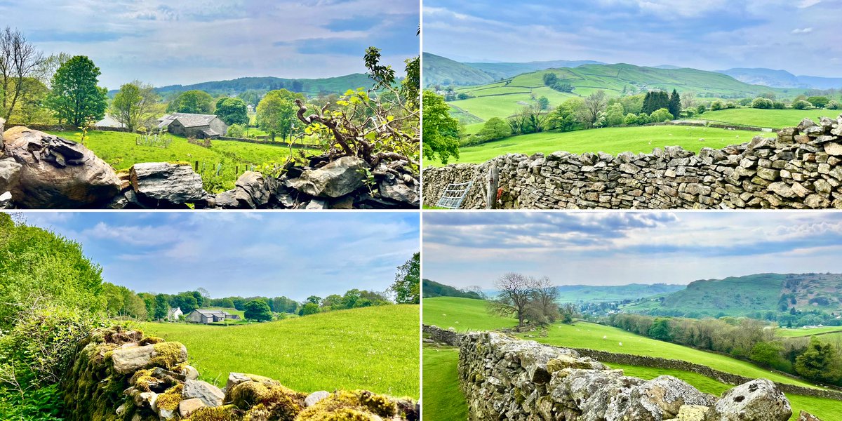 Today, Staveley💙 #walking #hiking #staveley #cumbrianfells #drystanedykes #cumbria