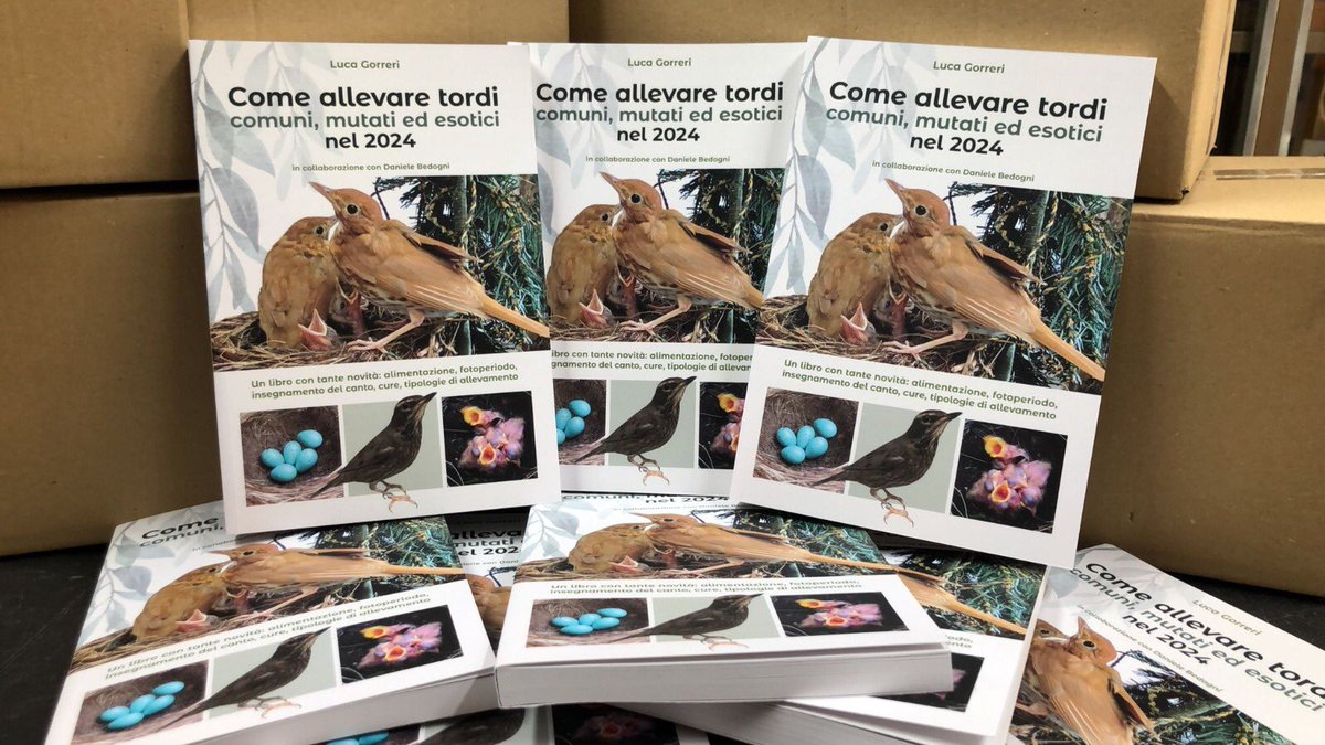 E' con piacere che comunichiamo l'arrivo nel nostro punto vendita del tanto atteso libro "Come allevare tordi comuni, mutati ed esotici nel 2024" 
Per chi fosse interessato all'acquisto clicchi qui sotto:
larmaiolo.it/it_IT/come-all…
Oppure telefonare allo 055 608015