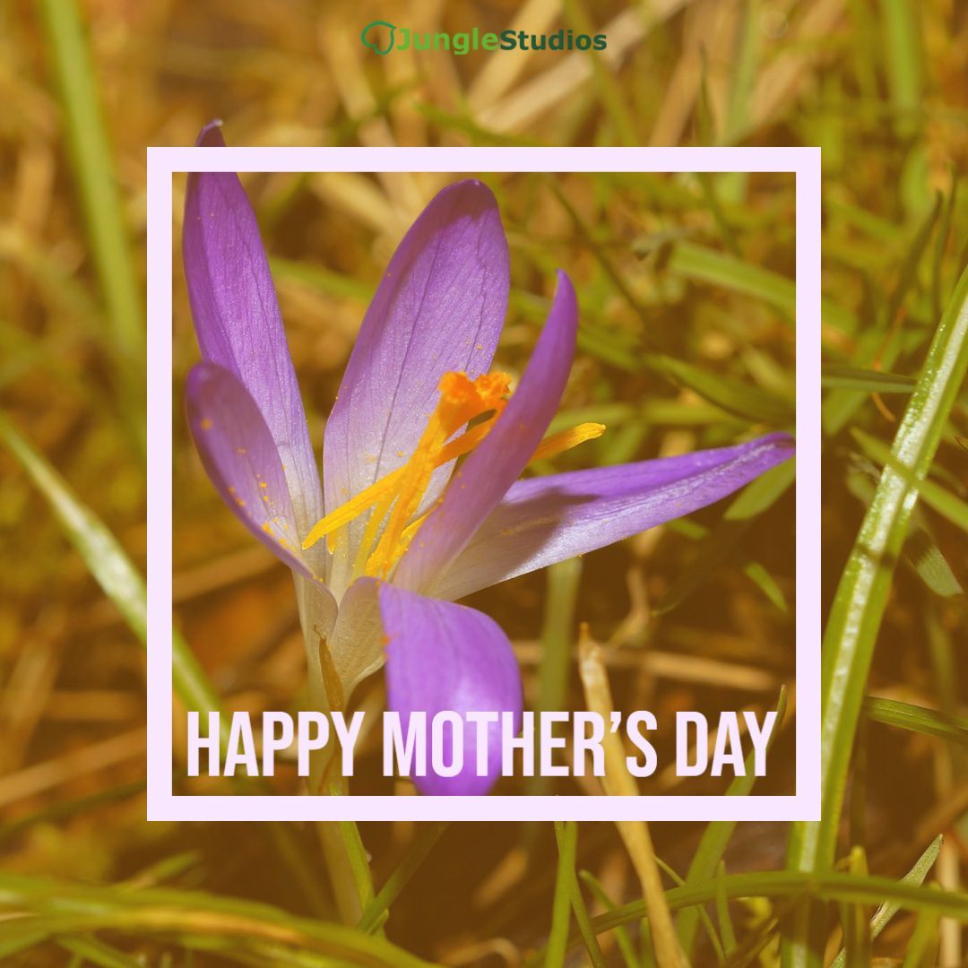Happy Mother's Day!

#smallbusiness #businesstips #business101 #startups #startuptips #workfromhomedad #marketing #sales #customerservice #virtualevents #virtualeventproducer