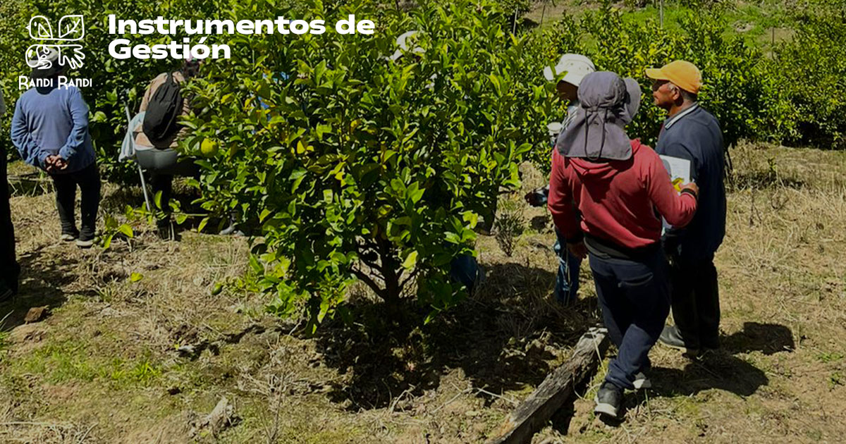 📊🌱 Explora nuestros “Instrumentos de Gestión” en #RandiRandi. Descarga herramientas para diseñar estrategias efectivas y sostenibles. ¡Empodérate con el conocimiento para proteger nuestro planeta! Descubre más aquí: gruporandi.org.ec/index.php/publ…