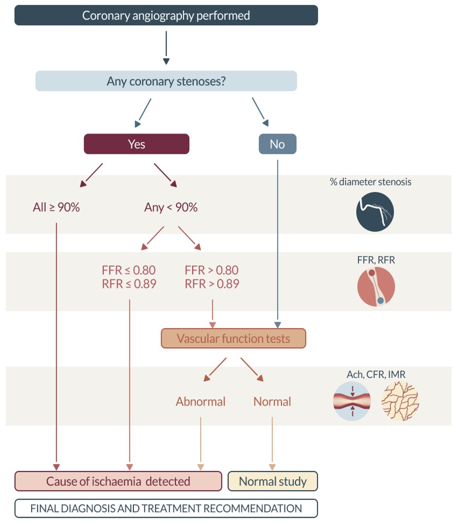 How much information does angiography provide in stable CAD to justify its invasiveness? What causes ischaemia in stable CAD? Can you predict INOCA with angiography and clinical data? For solid answers: AID ANGIO trial @EuroPCR. LBCT session 11:45 May 15 Thatre Blue. <a href="/PCRonline/">PCRonline 🫀</a>