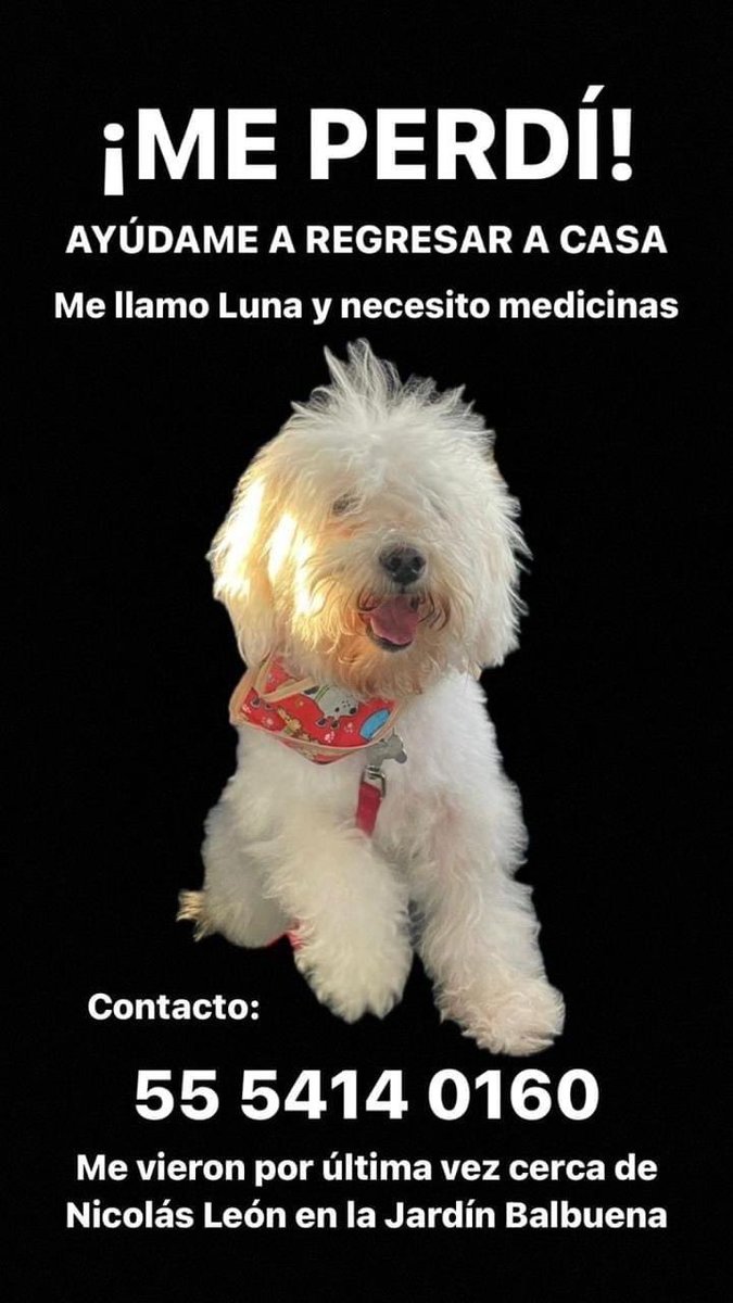 mayumiguillen's tweet photo. 🆘🐶🆘 ⁦@MascotasSismo⁩ ⁦@MascotaCoyoacan⁩ ⁦@PerdiDogsMx⁩ ⁦@PrrosPerdidosMX⁩ ⁦@lawera33⁩ https://t.co/5jmGPyweHL