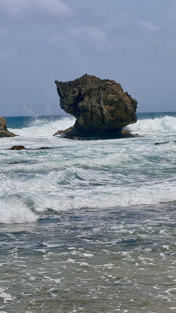 Lakes Beach @ Barbados 🇧🇧… Head rising from the ocean depths.