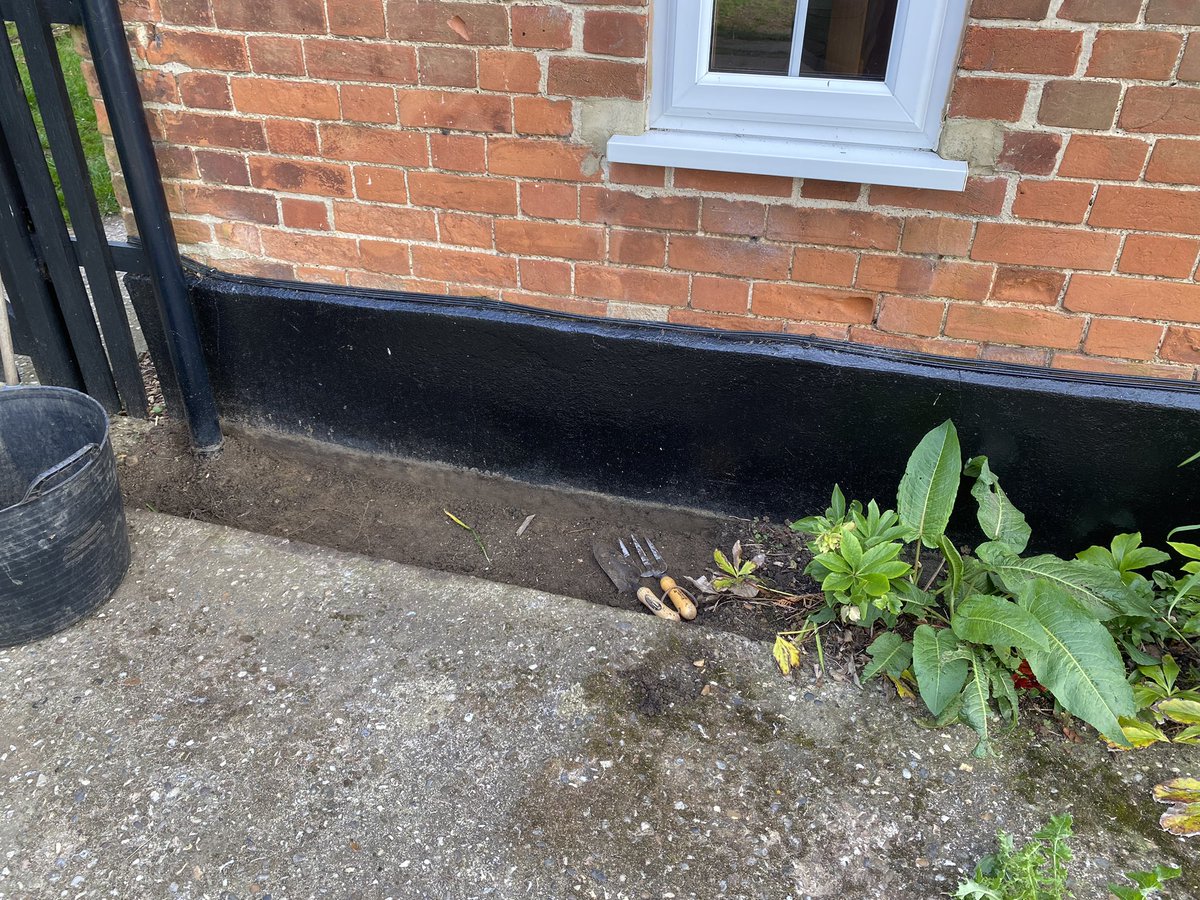 Before it rains on Monday I’ve managed to dig out around the cottage. Hundreds of bluebell bulbs. Maybe Spanish ones.? How do you tell the difference? They will be replanted soon. Painted the exposed concrete tonight and will do the rest tomorrow once it’s dried.!!