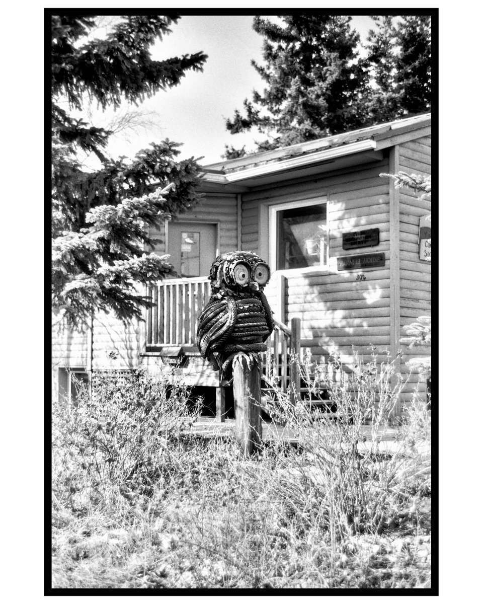 But nothing really ever changed A teeny bit quiter but we still play our little games Leica M5 Elcan 50mm f2 Ilford FP4+ Whitehorse, YT #believeinfilm #filmphotography