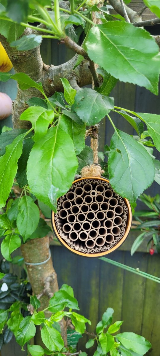 😊 The bee nester is open for business 🐝 <a href="/wildcommunityuk/">The Wildlife Community</a> #saveourbees #beenester #beehotel