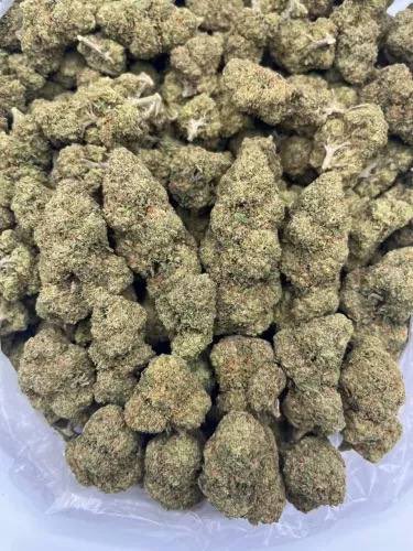 MainPlug49863's tweet photo. #cannabis #cannabiscommunity #weed #marijuana #thc #cbd #cannabisculture #weedporn #weedstagram #hightimes #stoner #indica #sativa #hemp #maryjane #kush #highlife #medicalmarijuana #ganja #growyourown #smoke #cannabissociety #weedlife #life #dabs #highsociety #smokeweedeveryday https://t.co/t0xOCDYFMf
