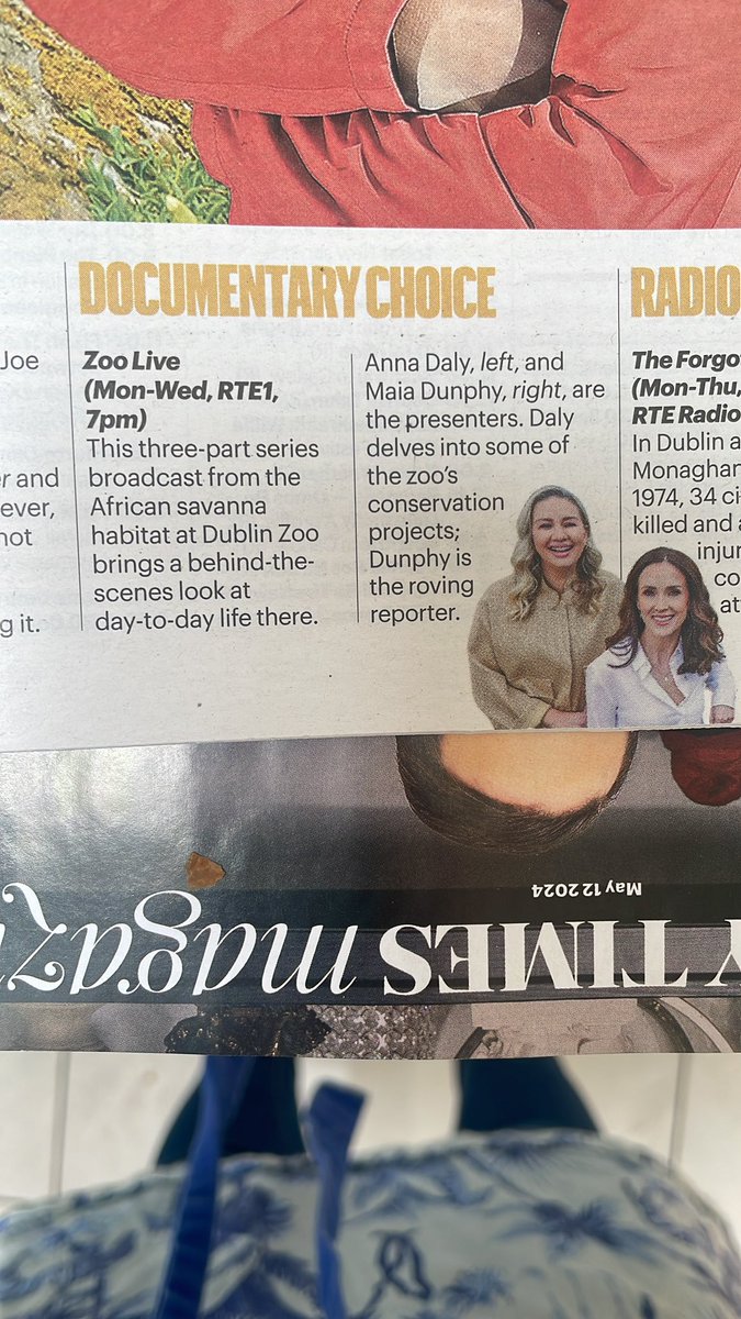 MaiaDunphy's tweet photo. Thanks for the pick(s) of the day @IrishTimesMag and @ST__Ireland !
#ZooLive @RTEOne @RTEplayer @daly_anna ❤️🦒🦧🦍 https://t.co/QChOIjkVfi